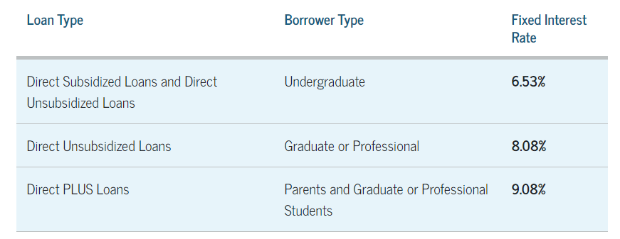 Loans Interest 2024-2025